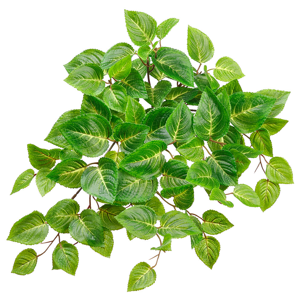 Green Coleus 20" (UV safe)