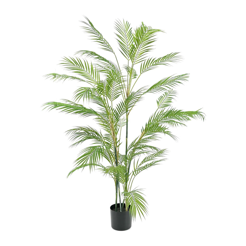 fake areca palm 6' Areca Silk Palm Tree - H: 6 Ft. W: 40 In. D: 40 In