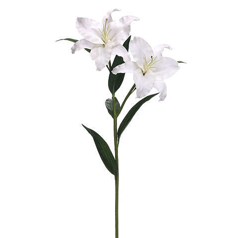 white casablanca lily Casablanca Lily 36" – Palm Bungalow
