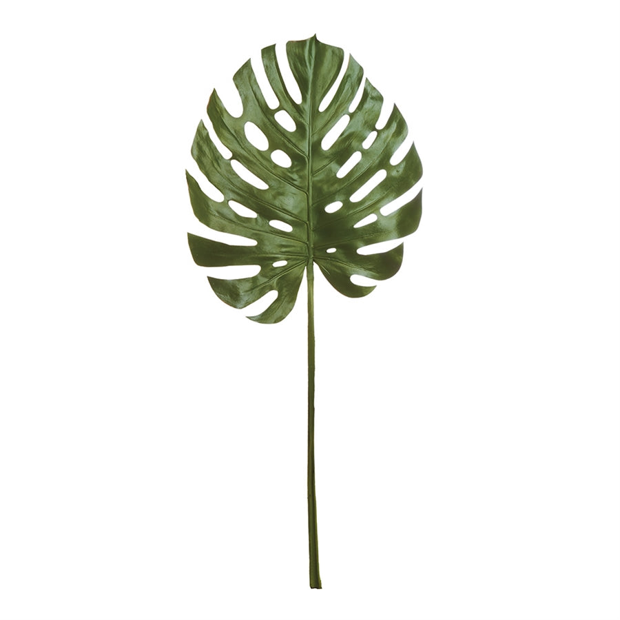 Giant Monstera Leaf 49"