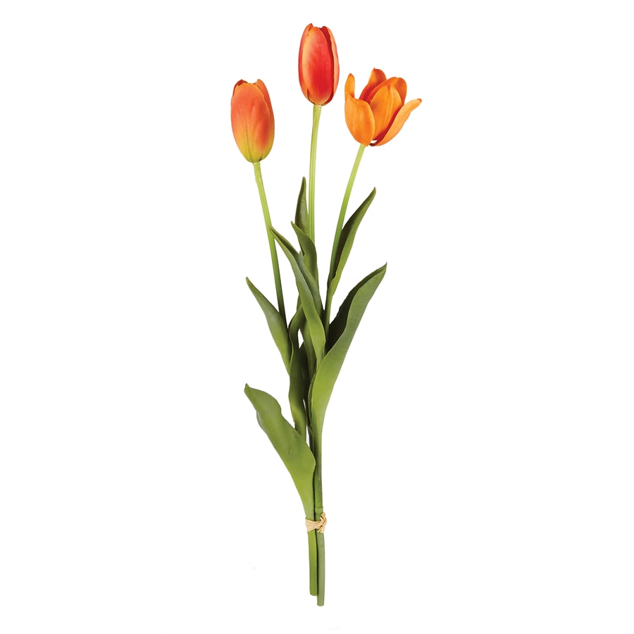 French Tulips 24"