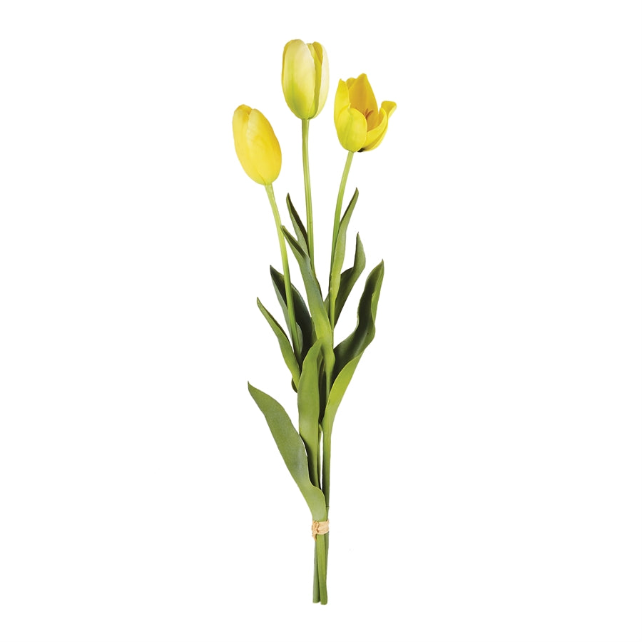 French Tulips 24"