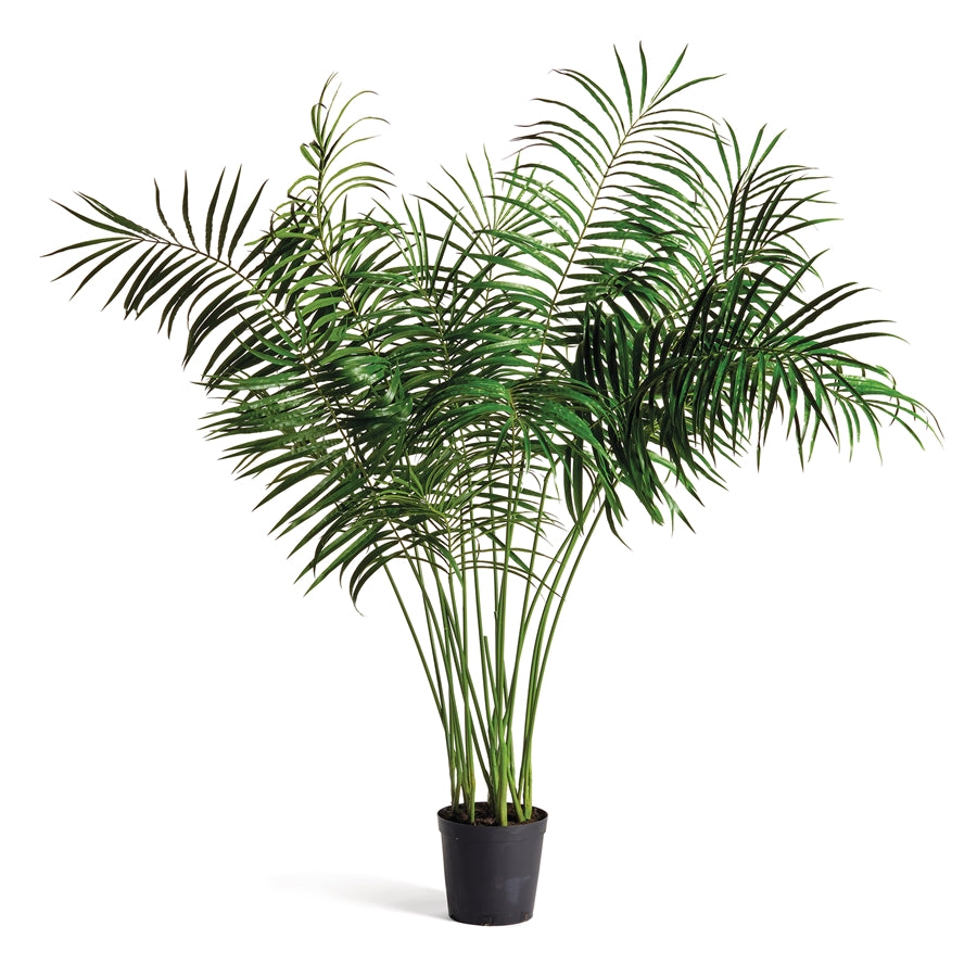 fake majesty palm plant Majesty Palm 6'