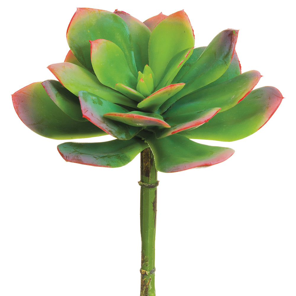 succulent stalk Faux echeveria succulent stem permanent echeveria succulent faux succulent – Palm Bungalow