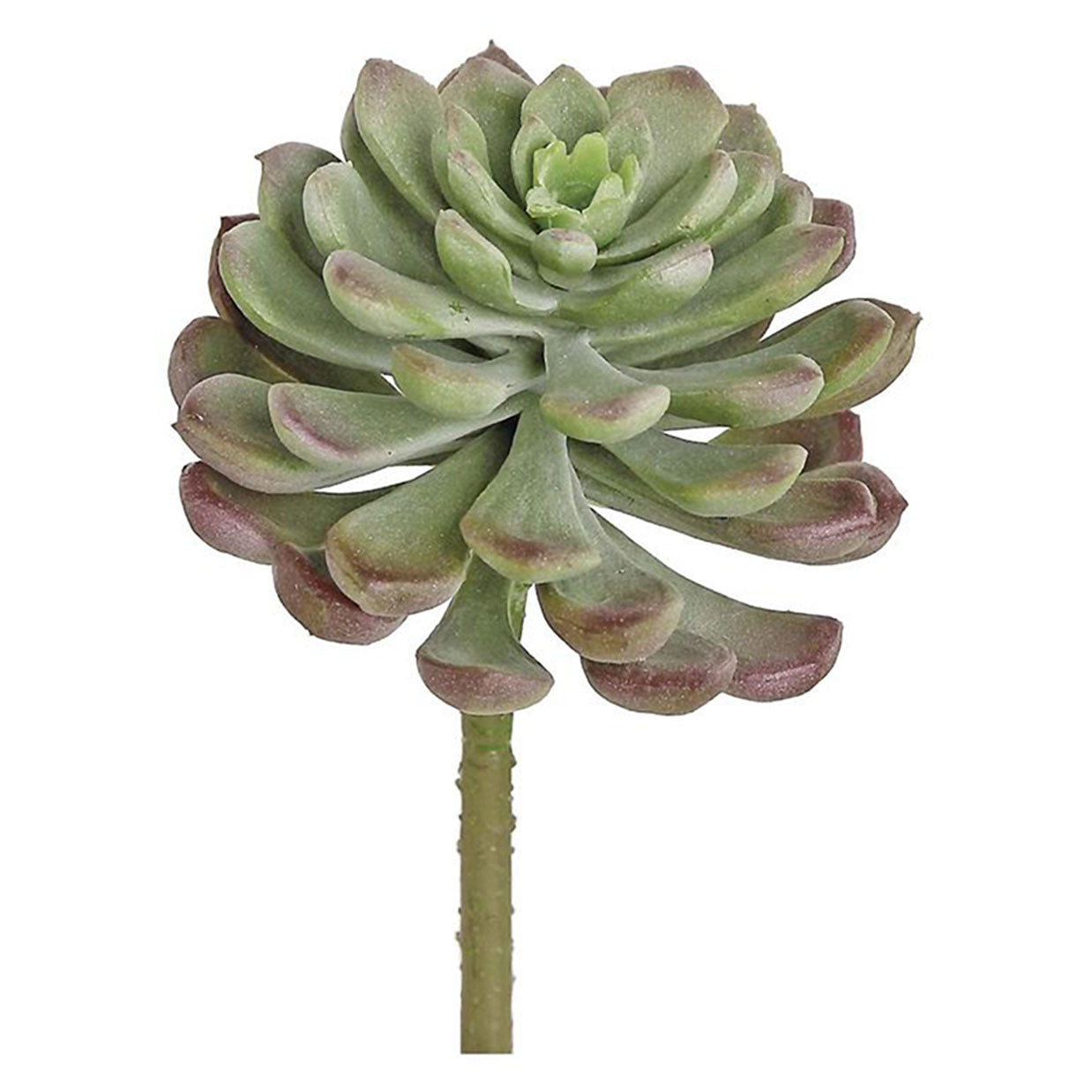 opalina succulent Faux bloomed sedum succulent stem permanent sedum succulent faux succulent – Palm Bungalow