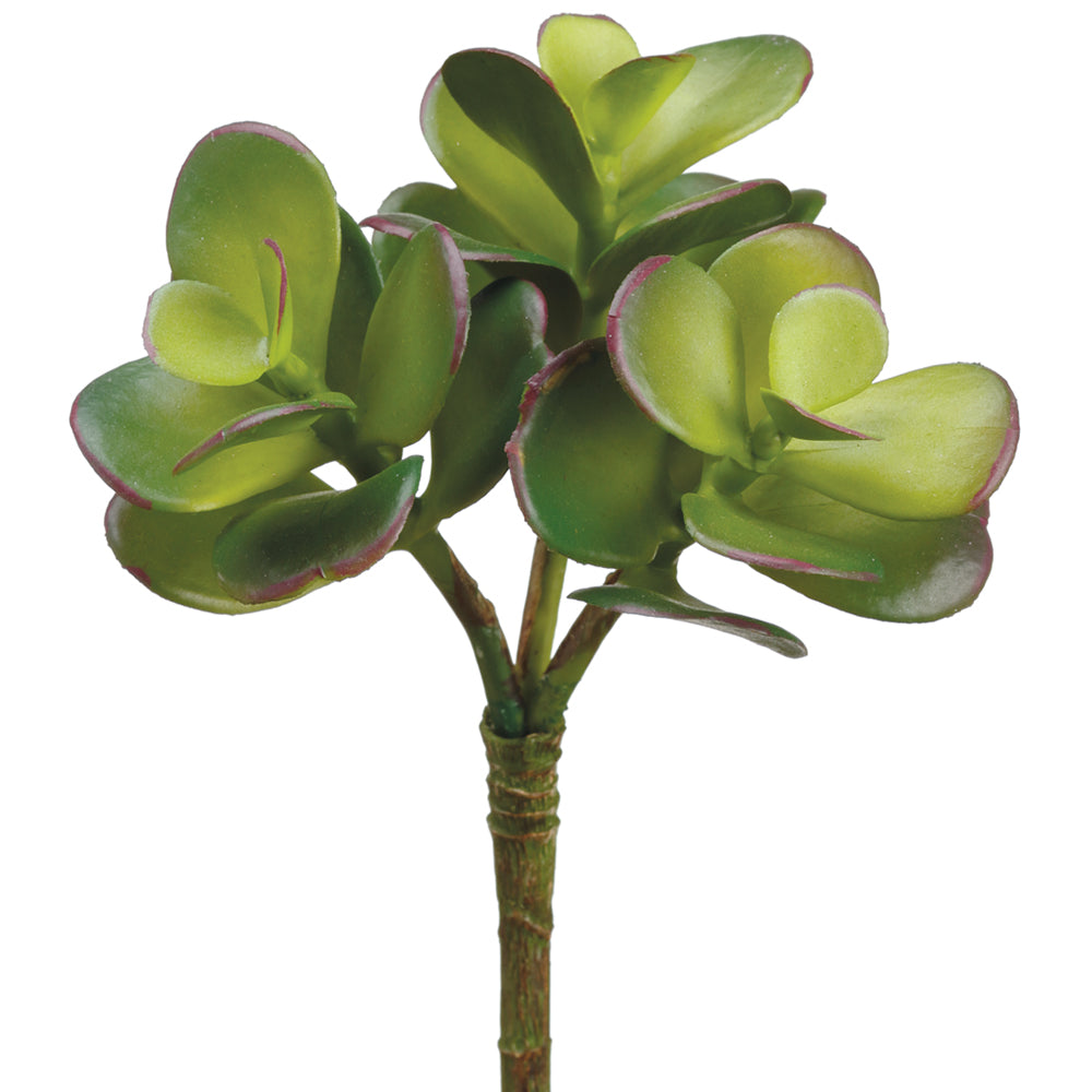 Mini Jade 6.5"