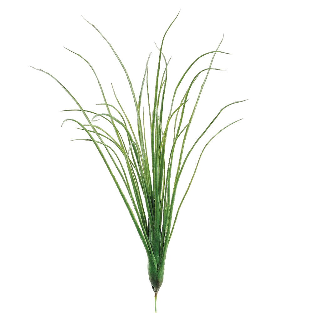 juncea air plant Faux Mini Tillandsia artificial air plant faux air plant artificial airplant – Palm Bungalow