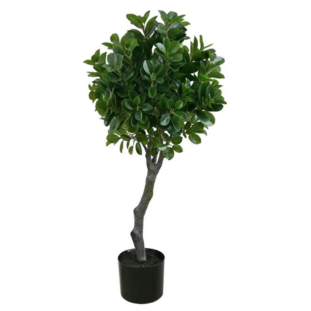 Italian Ficus Tall Topiary