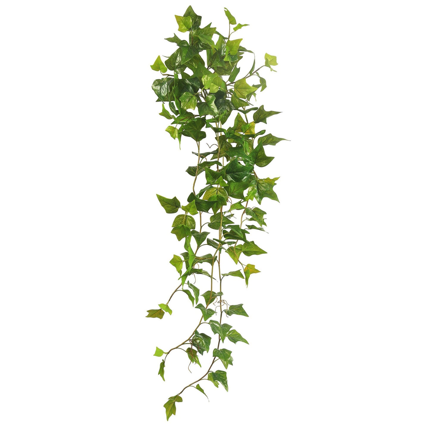 English Ivy Bush 48"