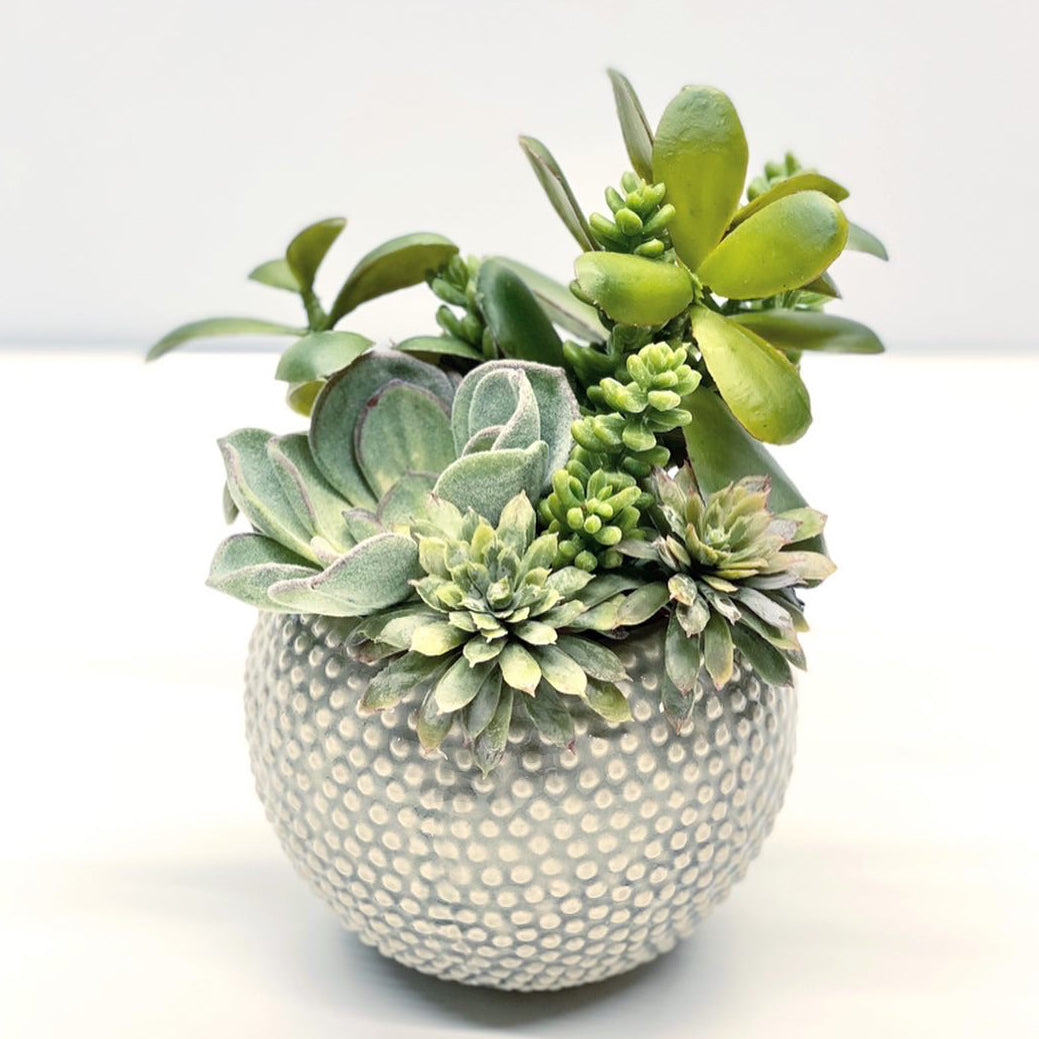 Faux succulent garden artificial succulent arrangement faux mixed succulent