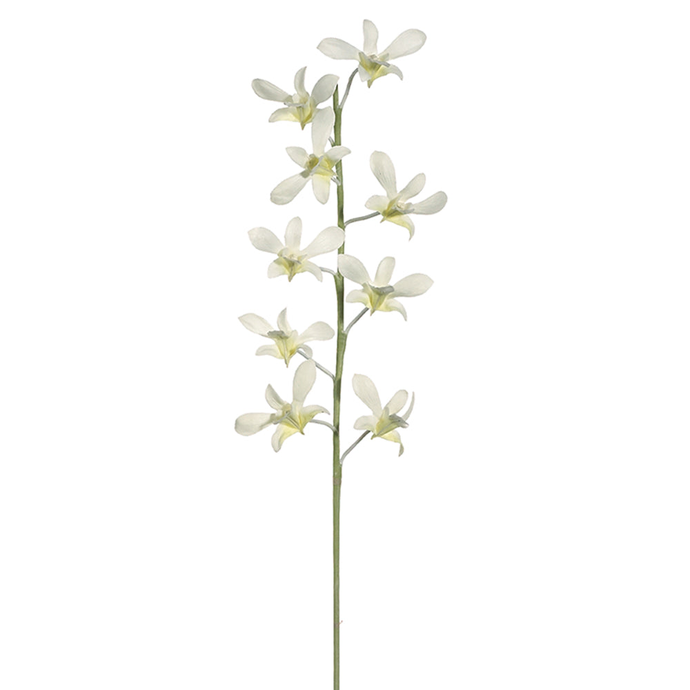 Caesar Dendrobium Stem White 29''