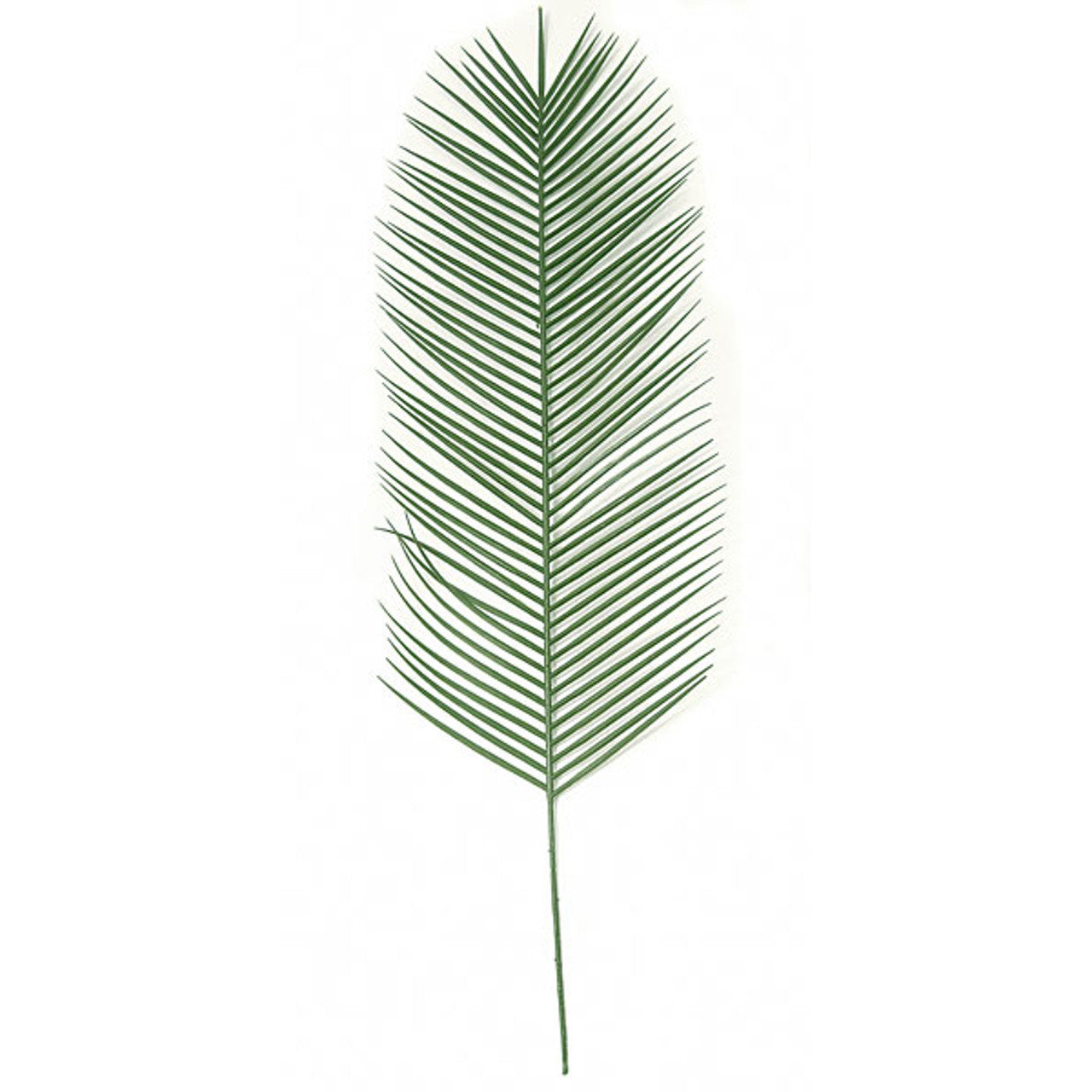 Phoenix Palm Branch 49" (UV Safe)