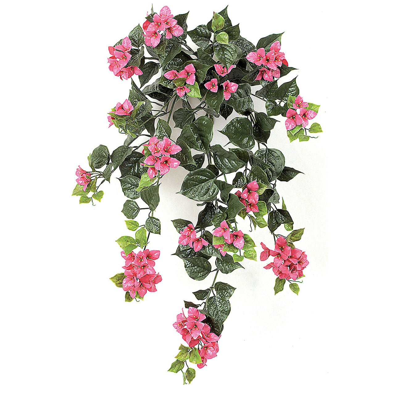 Bougainvillea Bush 36" (UV Safe)