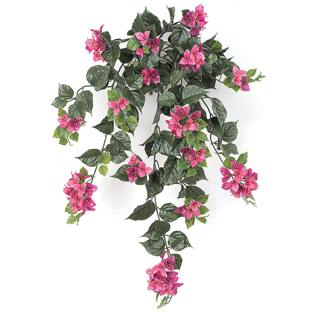 Bougainvillea Bush 36" (UV Safe)