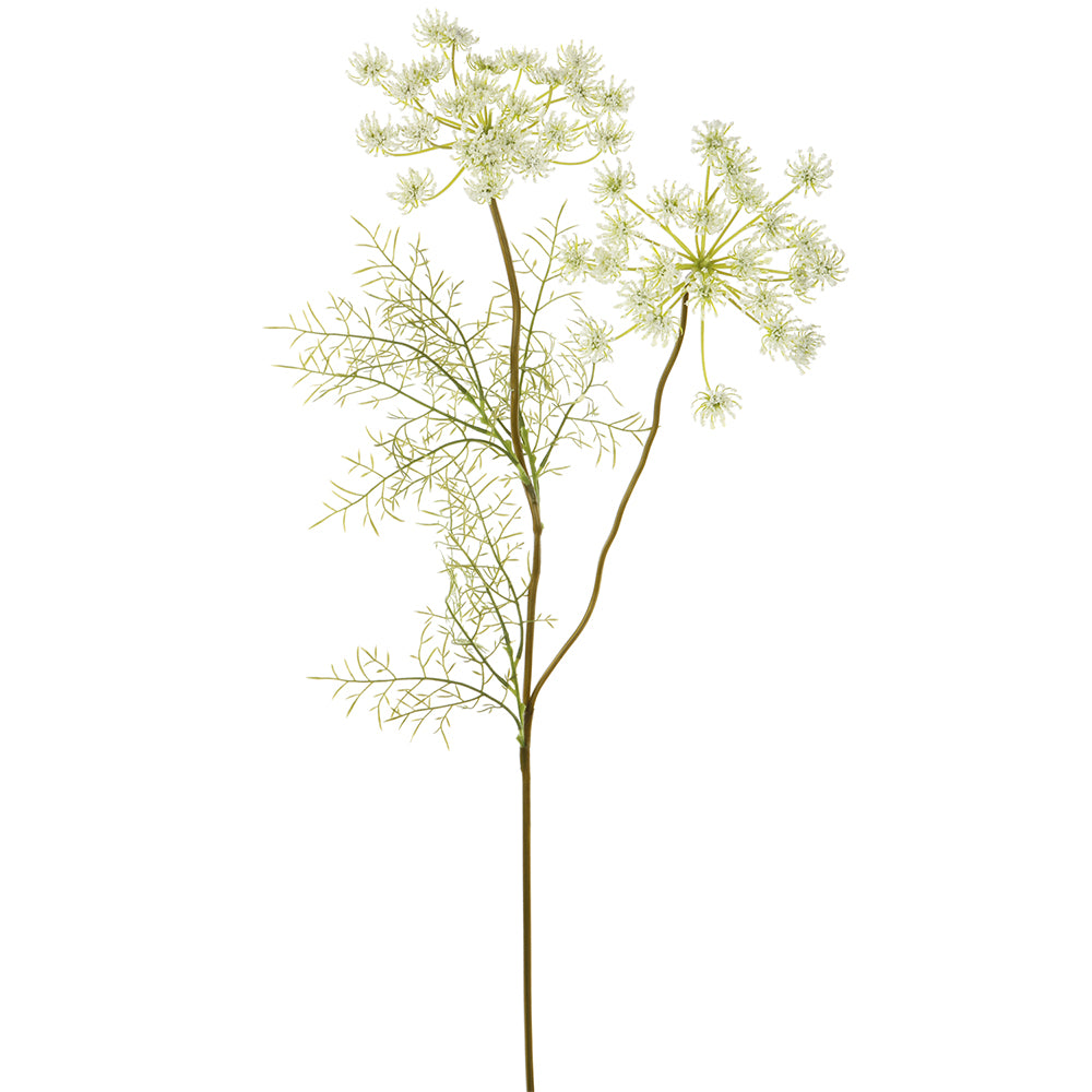 Queen Anne's Lace White 33"