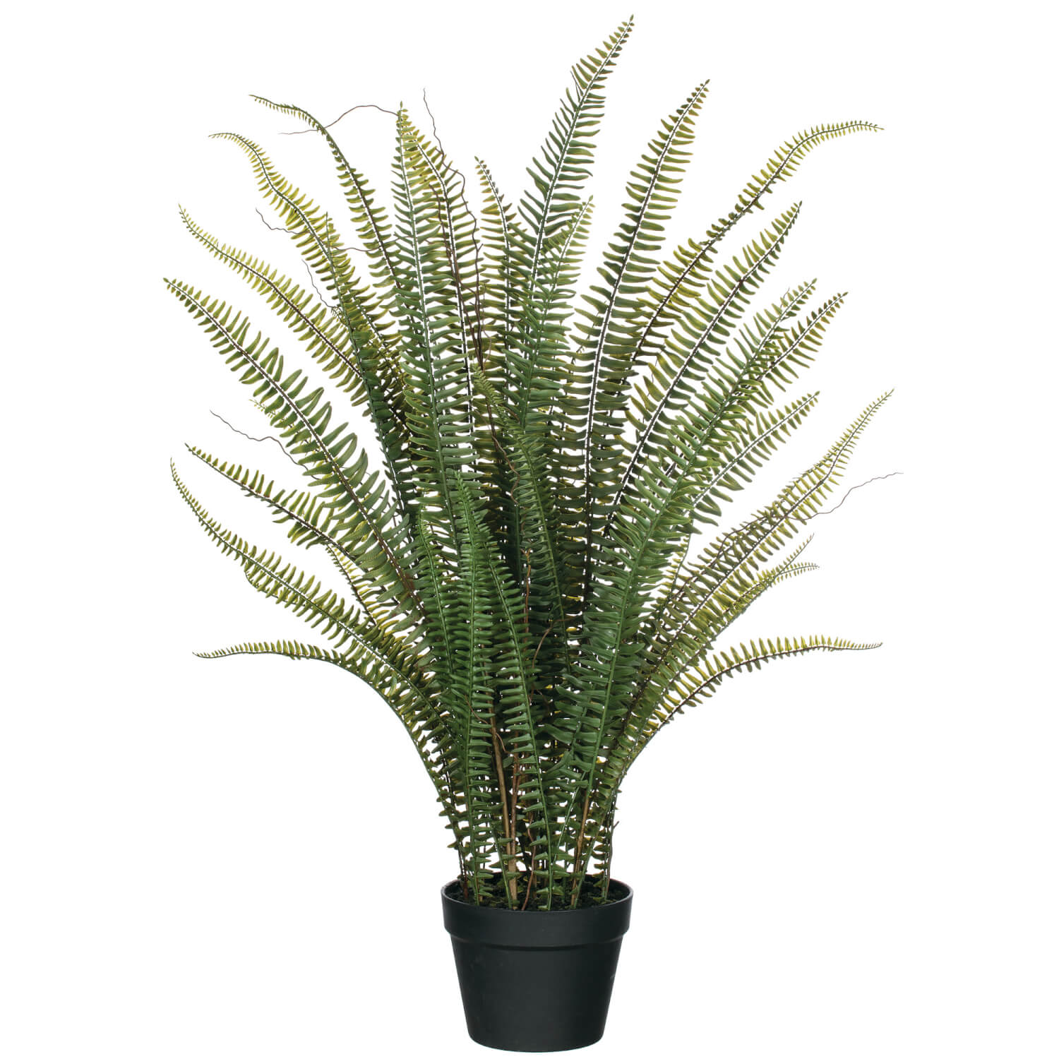 sword palm plant Sullivans Artificial Potted Fern 38"H Green