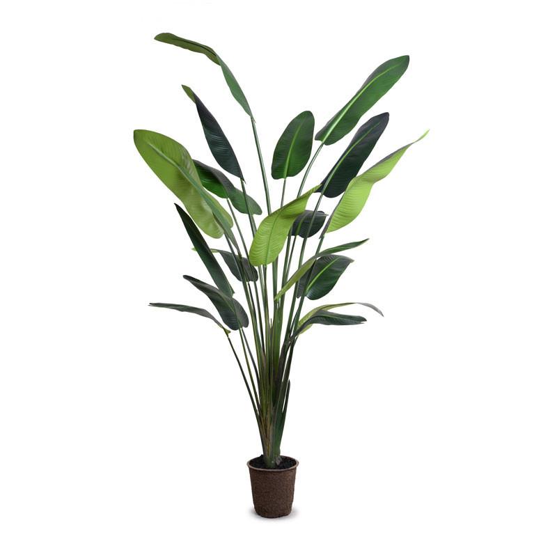 faux palm plants Travellers Palm 10'