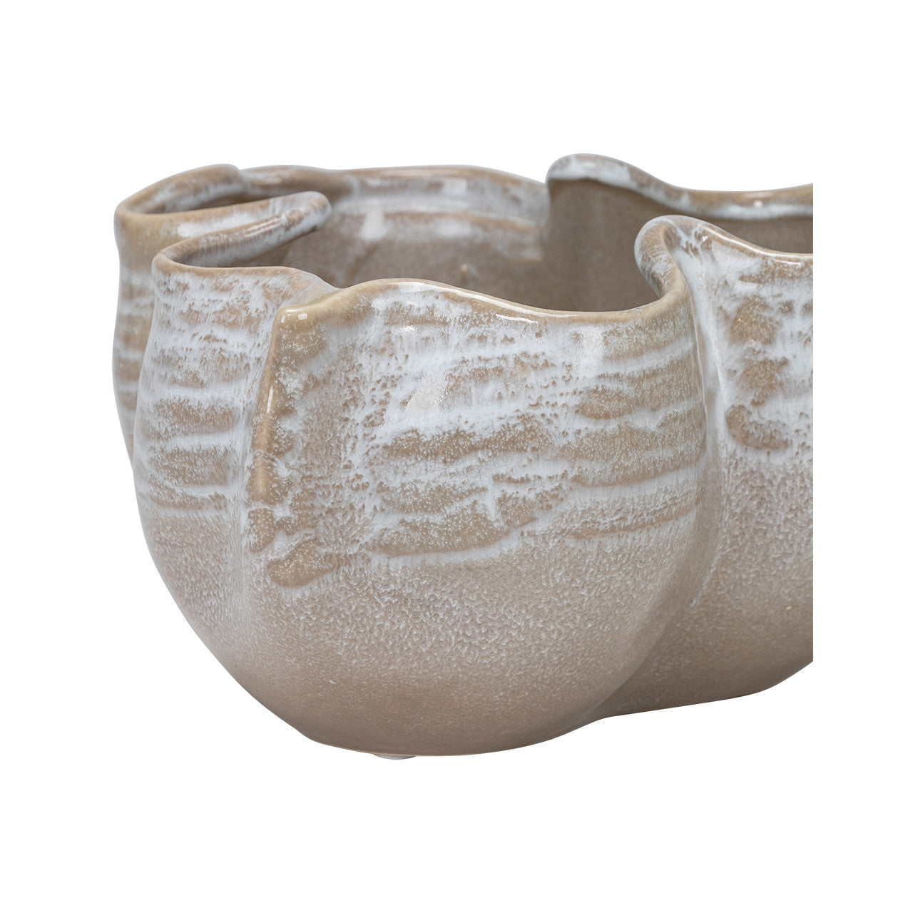 Venus Bowl