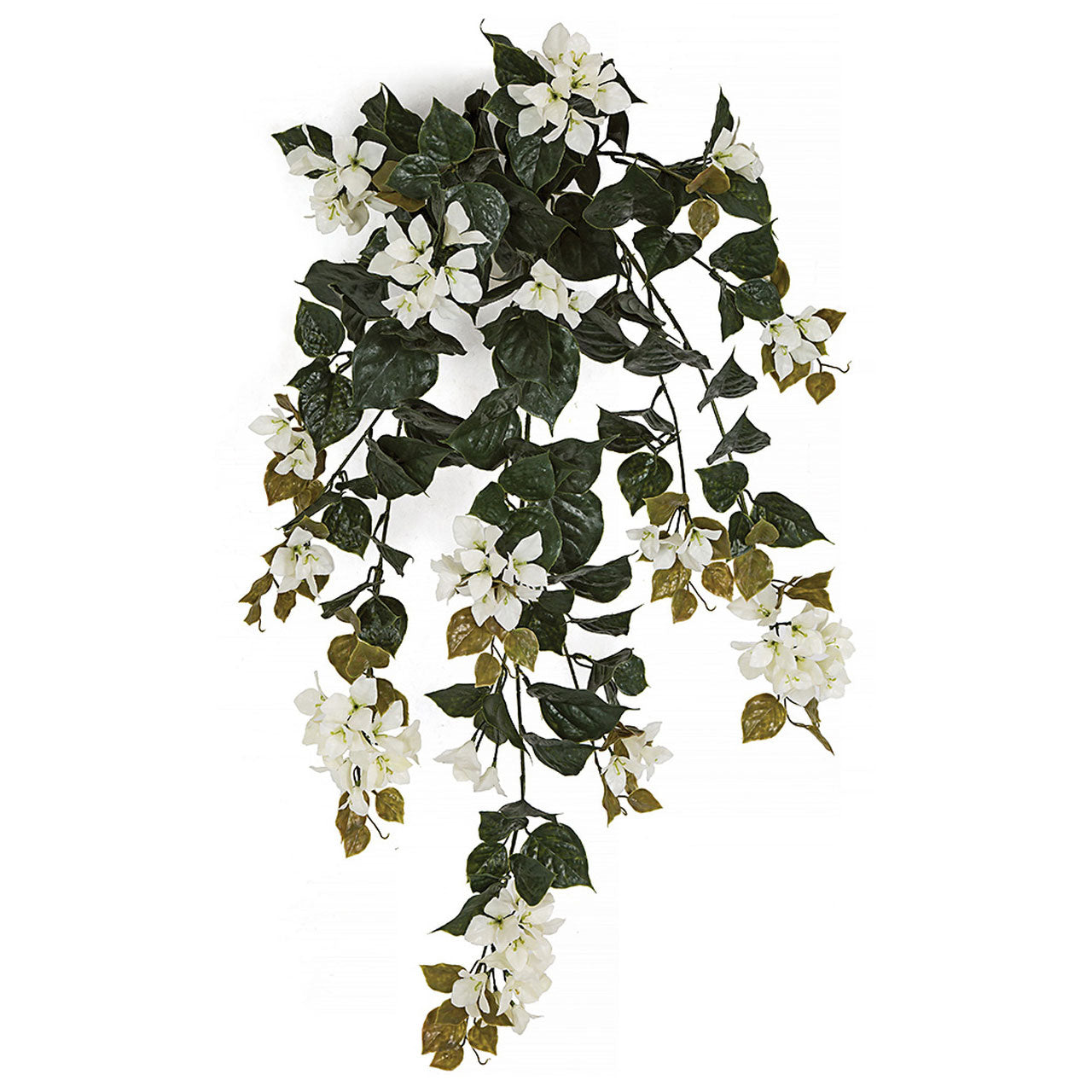 Bougainvillea Bush 36" (UV Safe)