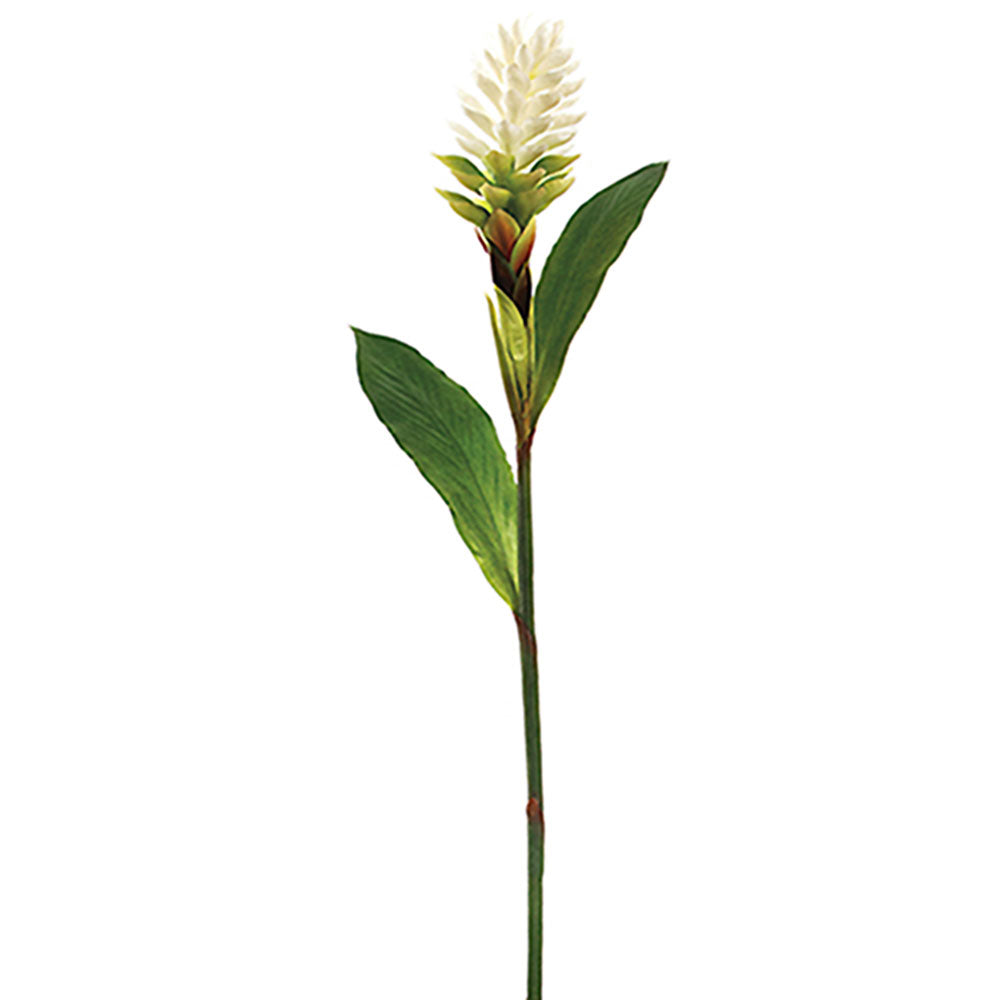 Ginger Flower White 40"