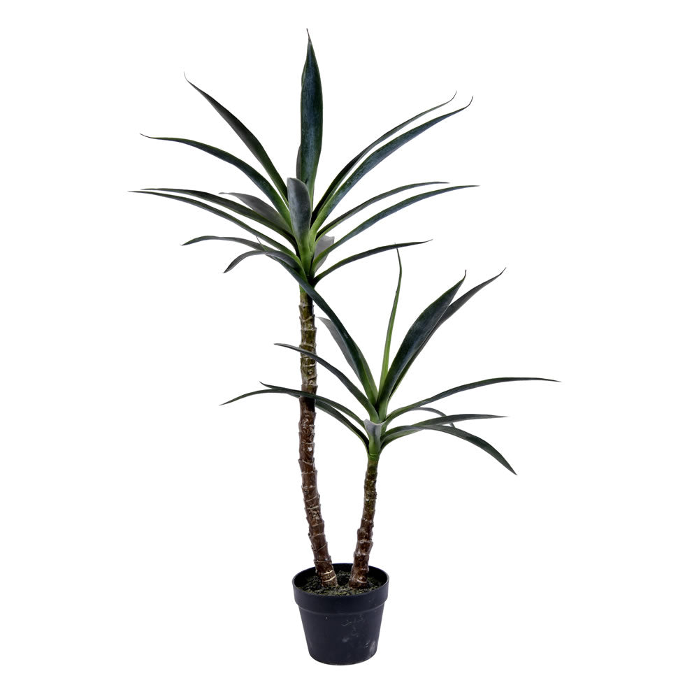 yucca palm plant Vickerman 44"H Green Potted Yucca Tree