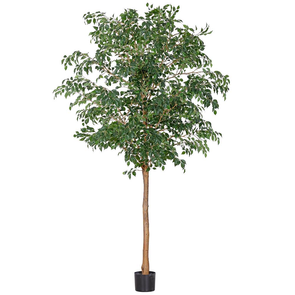 Faux Ficus Trees