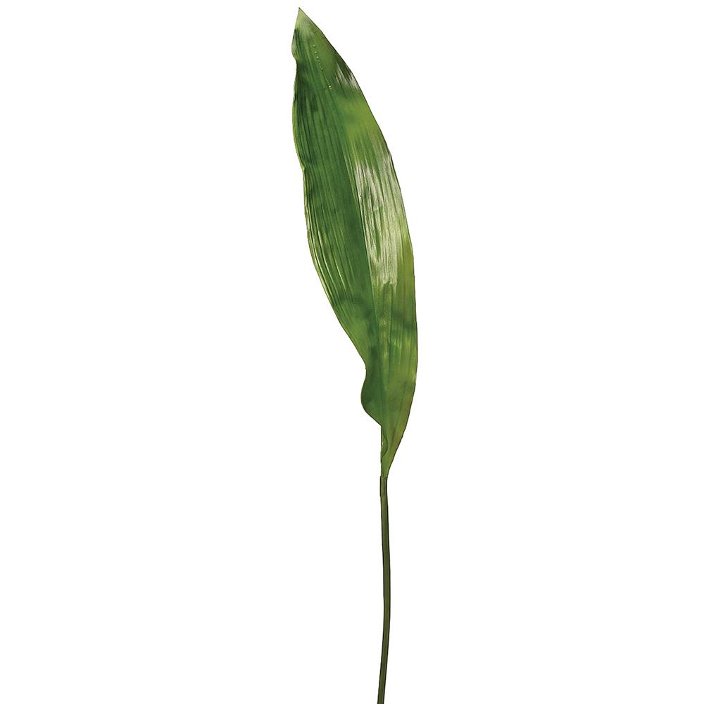 Aspidistra Leaf 36"