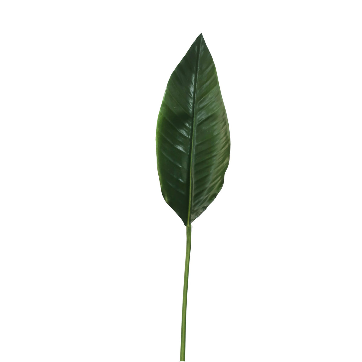 Faux Bird of Paradise Leaf 38"