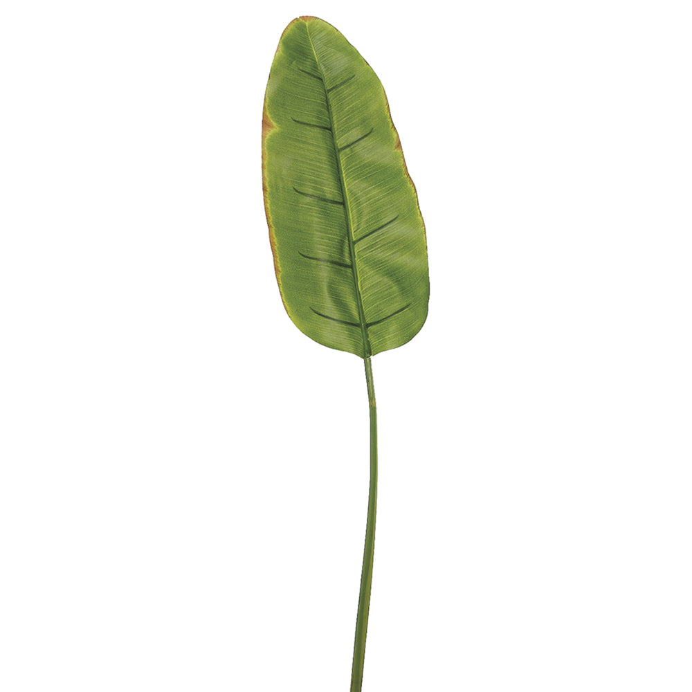 Banana Leaf 38"