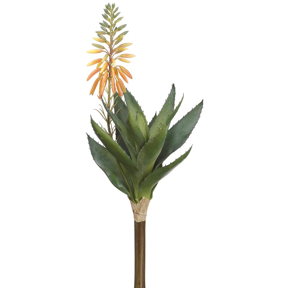 Blooming Agave 15"