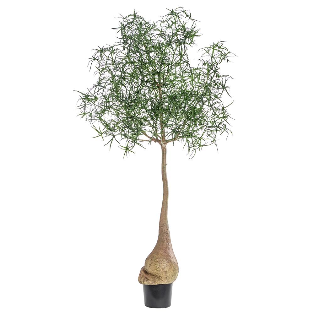 Barrel Tree 8'