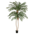 Faux Phoenix palm 8.5' with a double trunk
