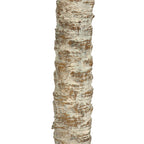 Close-up of the faux Phoenix palm's textured trunk