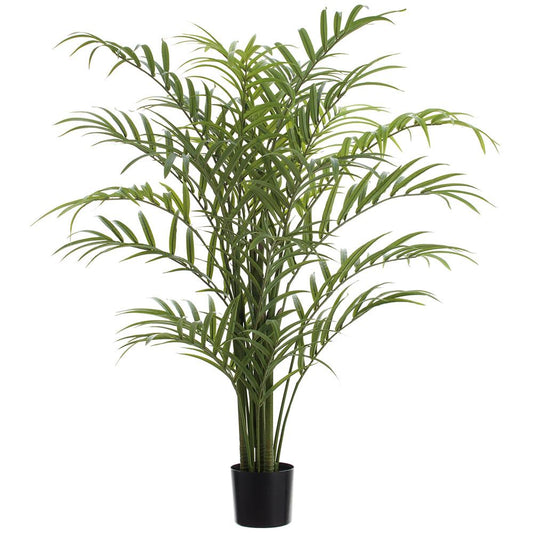 Caledonia Palm Tree 7'