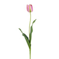 French Tulip Open Pink 24.5"