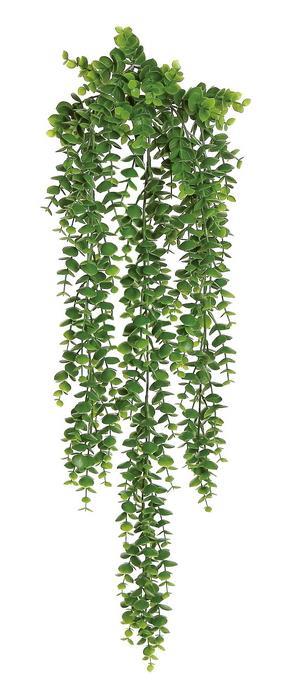 Hanging Eucalyptus 30"