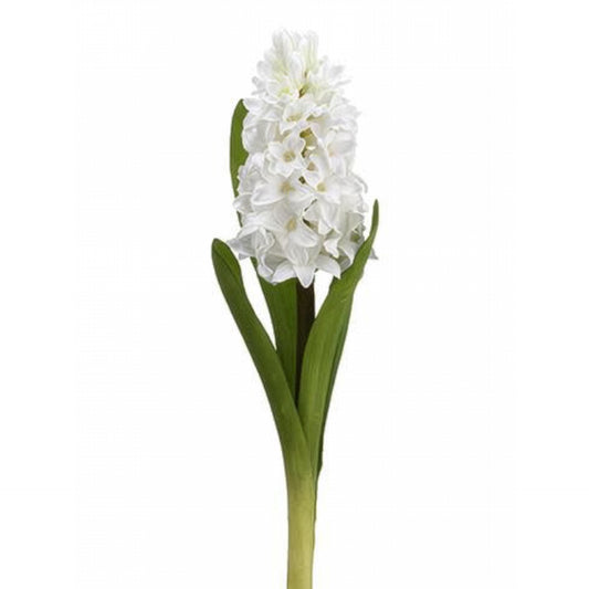 Hyacinth White 12.5"