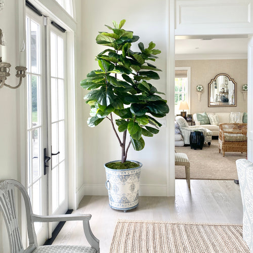 Faux fiddle leaf fig tree styled in a Palm Beach interior