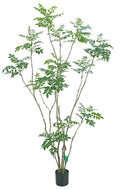 Sumac Tree 8'