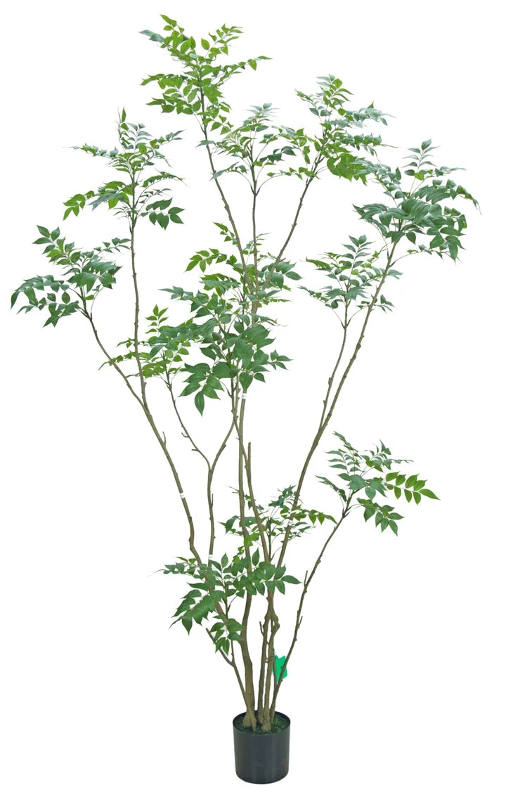 Sumac Tree 8'