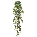 Trailing Ivy 70"