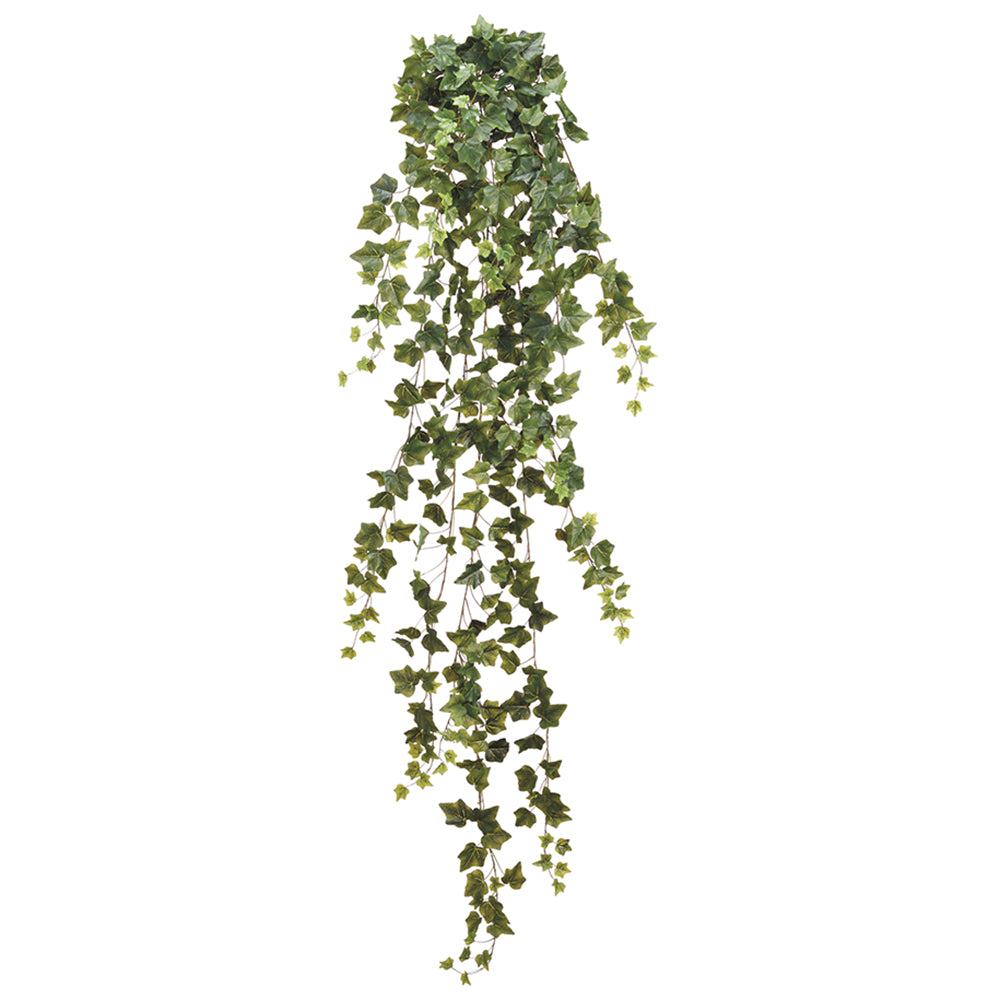 Trailing Ivy 70"