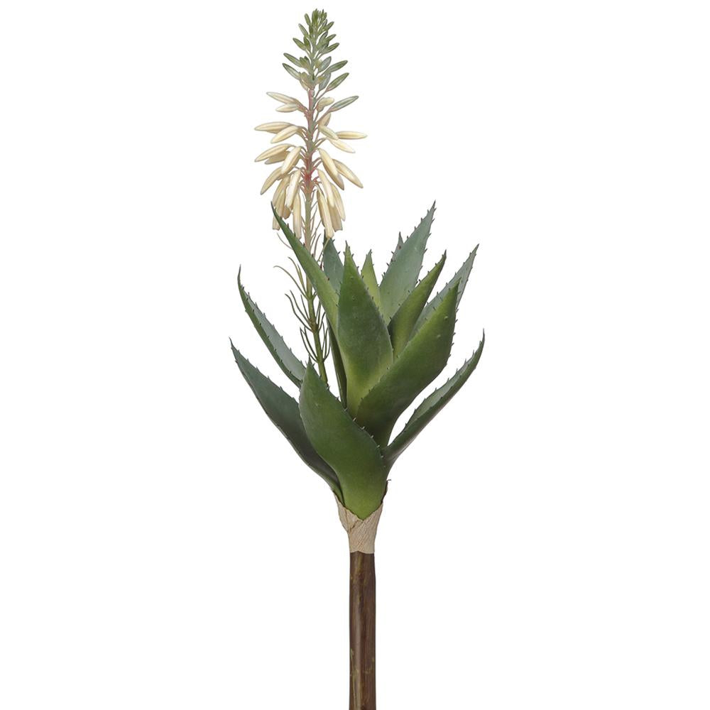 Blooming Agave 15"