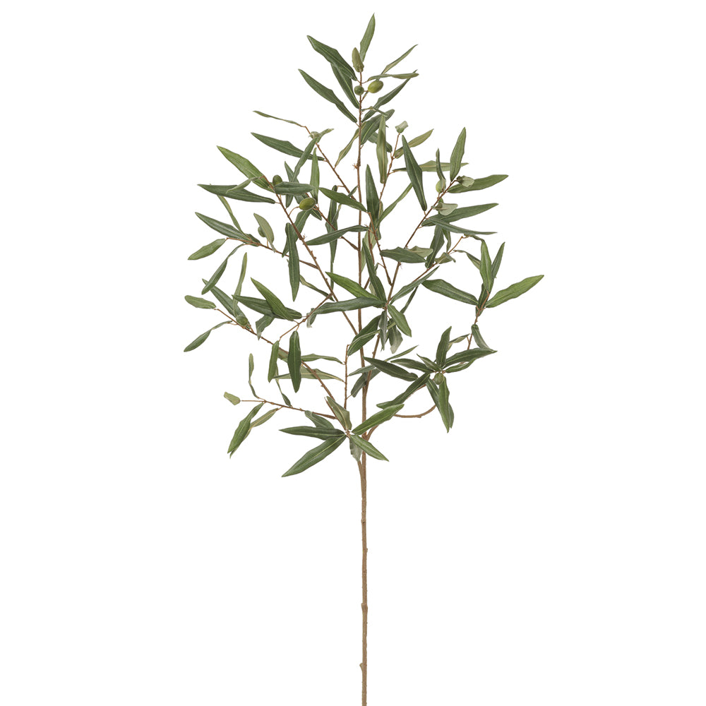 Olive Branch 44"