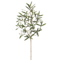 Olive Branch 44"