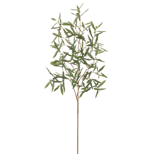 Olive Branch 56"