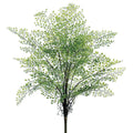 Maidenhair Fern 24"