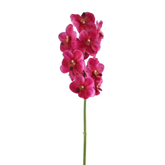 Vanda Orchid Stem Fuchsia 21"