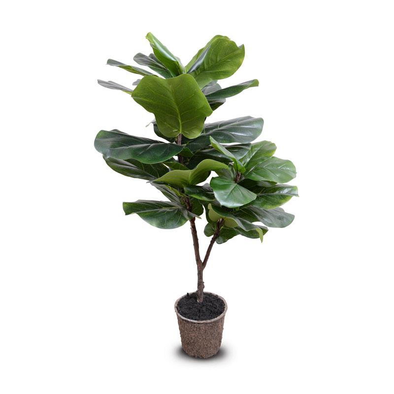 fiddle leaf fig artificial tree|fiddle leaf fig tree artificial|artificial fig trees|artificial fig tree|artificial fiddle leaf fig tree|fig tree faux