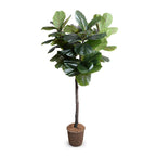 Faux fiddle leaf fig standard tree 6.5' in a nursery pot